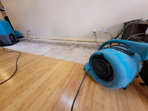 Reliable Crawl Space Water Removal contractor in Bridgeport, CT by Hirex Water Damage