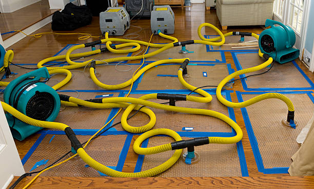 Professional Crawl Space Water Removal technician working in Bridgeport, CT